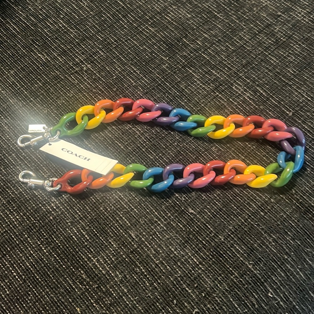 Coach rainbow chain